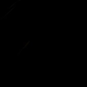 Meet your Posher, Gala